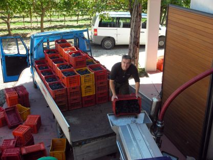 Cantina f.lli Zanoni Lazise