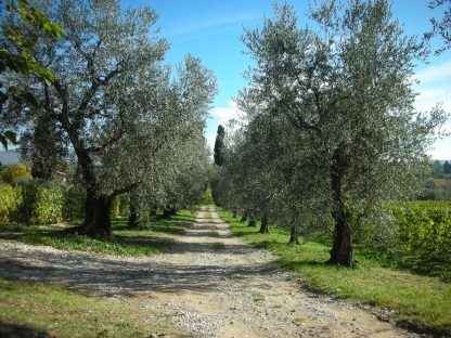 chi siamo